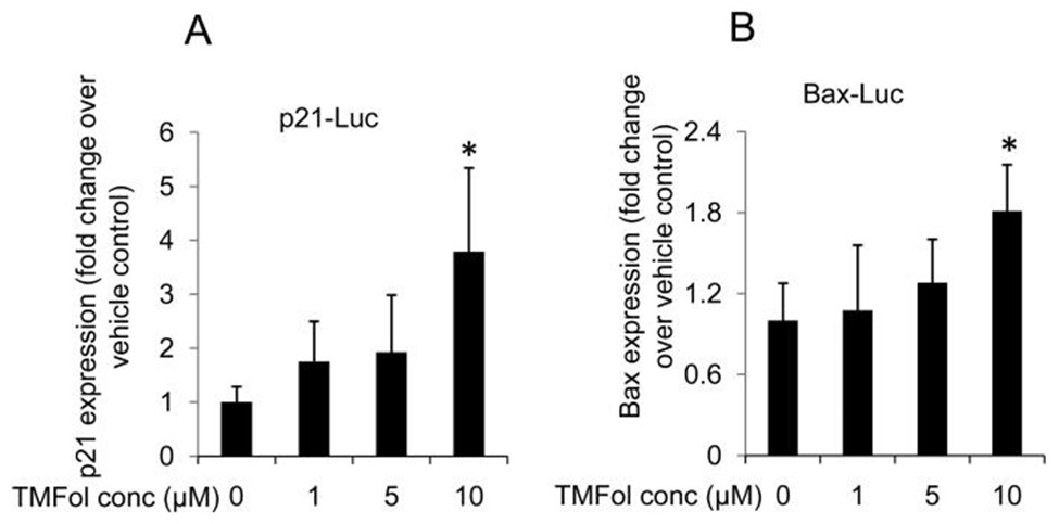 <b>【佳学基因检测】骨科分子诊断项目招标中关于CLTB的问题</b>
